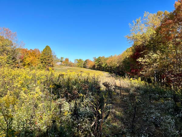 Land for Sale in Ohio