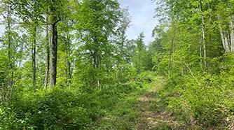 Land for Sale in Ohio 38289 St Rt 160